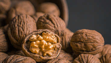 TerraYbera-NuecesIberas_Extremadura_nueces12
