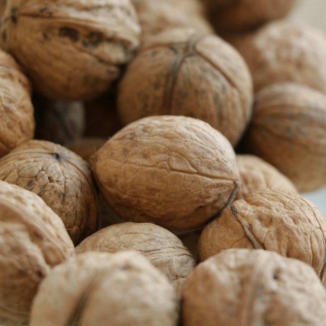 TerraYbera-NuecesIberas_Extremadura_nueces6