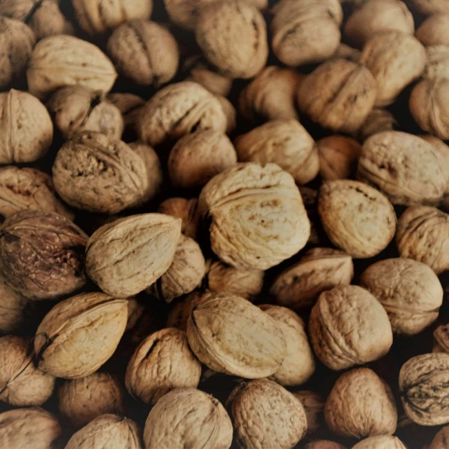 TerraYbera-NuecesIberas_Extremadura_nueces7