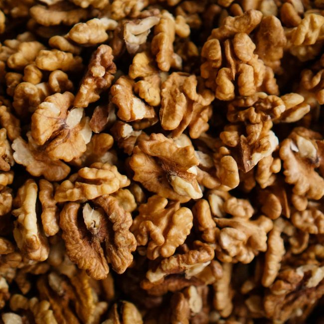 TerraYbera-NuecesIberas_Extremadura_nueces8