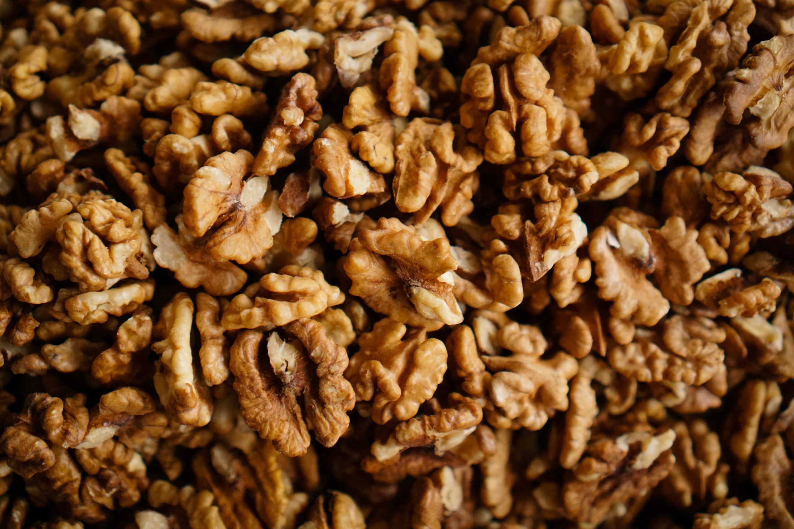 TerraYbera-NuecesIberas_Extremadura_nueces8