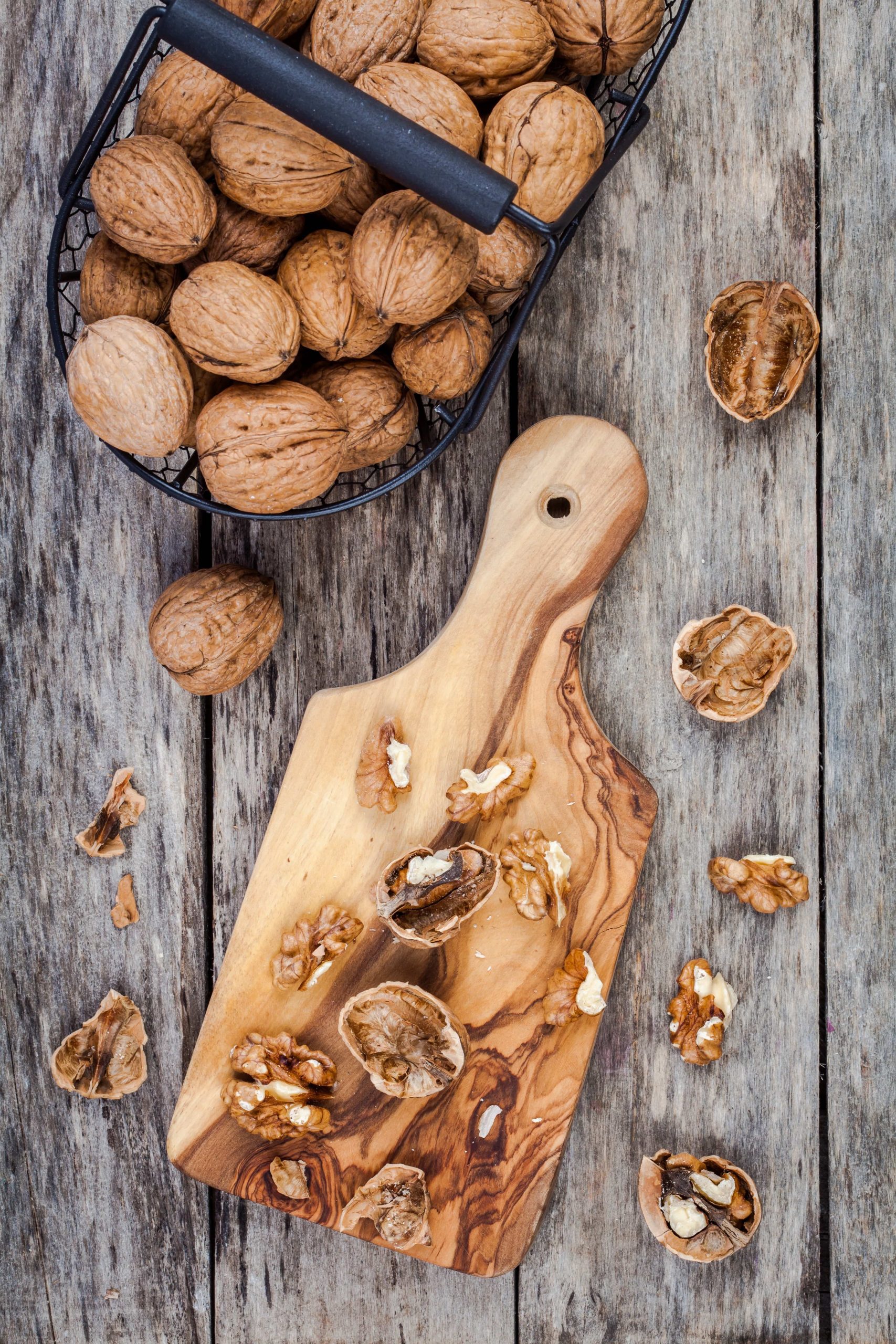 TerraYbera-NuecesIberas_Extremadura_nueces9