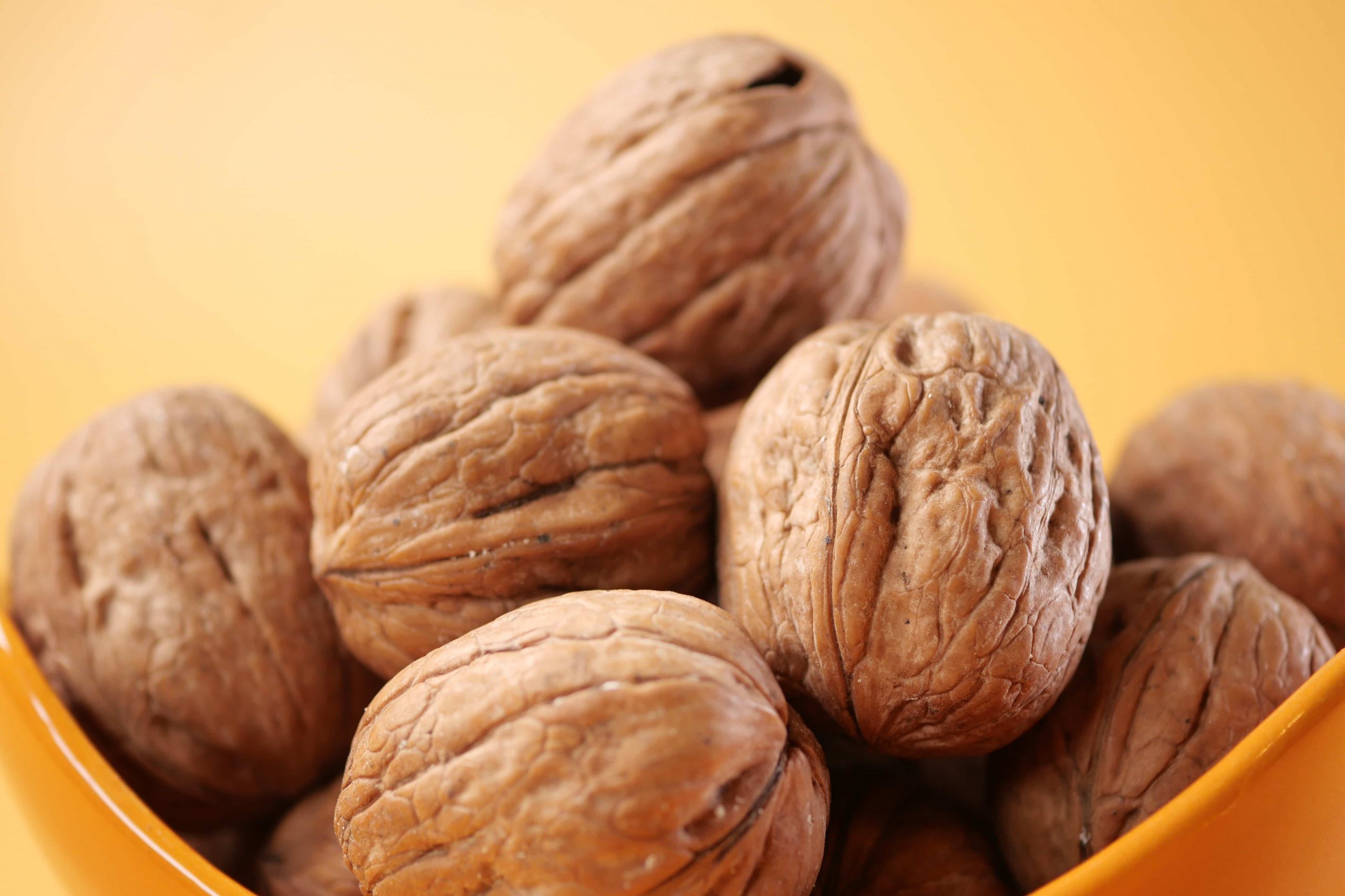 TerraYbera-NuecesIberas_nueces2